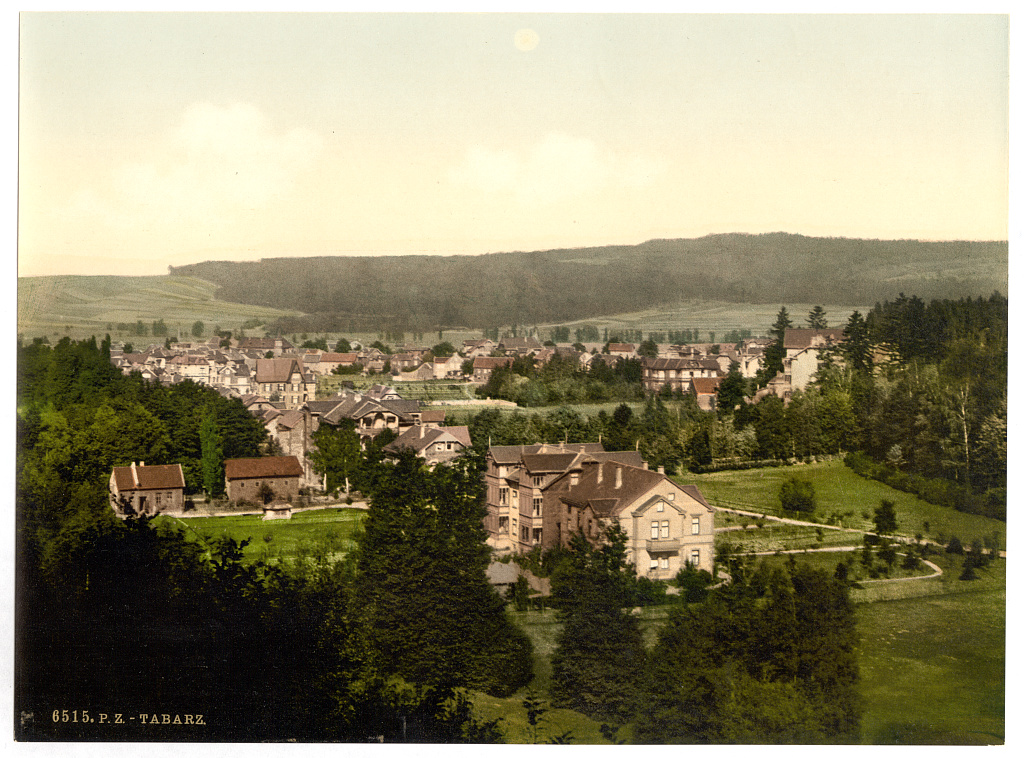 Photochrom print of Tabarz in the Thuringian forest, 1890s